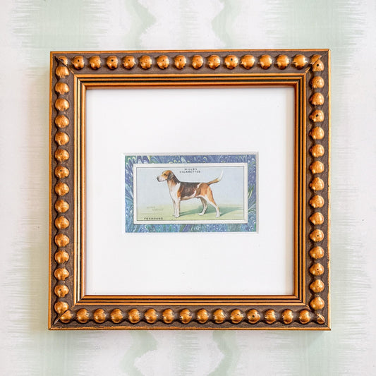 Framed Vintage Dog Cigarette Card c. 1937, Foxhound