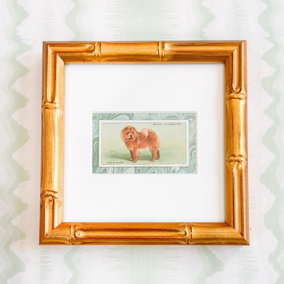 Framed Vintage Dog Cigarette Card c. 1937, Chow Chow
