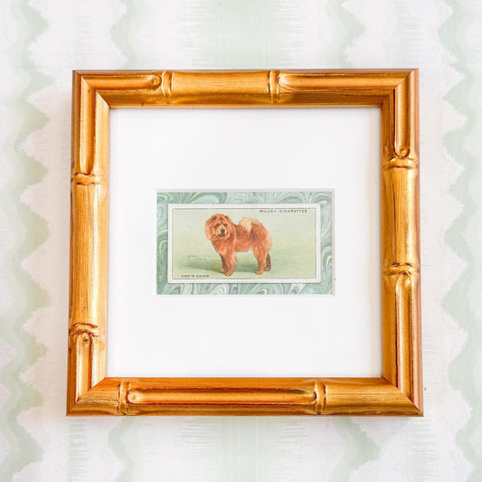 Framed Vintage Dog Cigarette Card c. 1937, Chow Chow