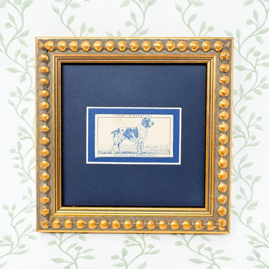 Framed Vintage Dog Cigarette Card c. 1952, English Springer Spaniel