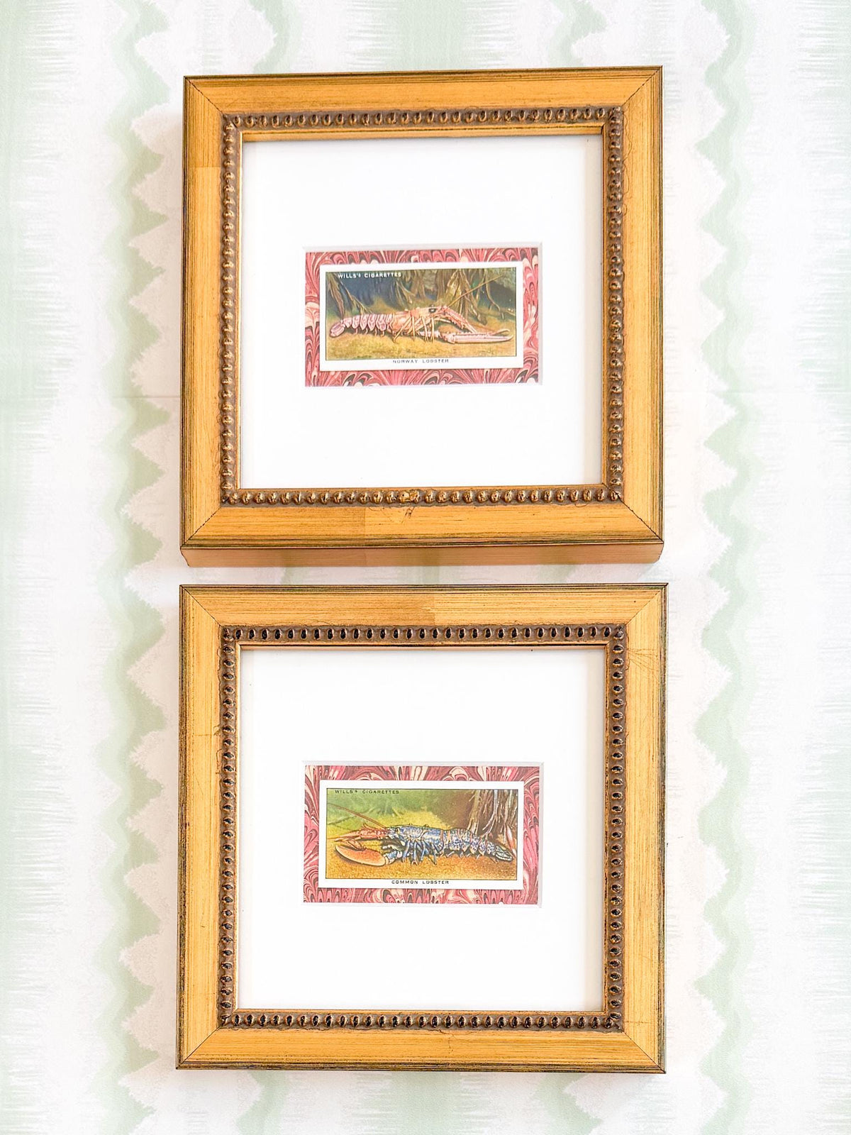 Framed Vintage Sea Life Cigarette Card, Common Lobster