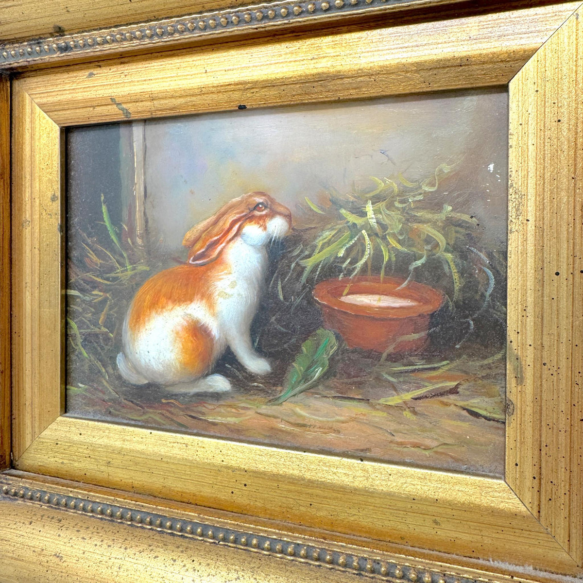 Vintage Framed Rabbit Oil Painting by Robert Grace