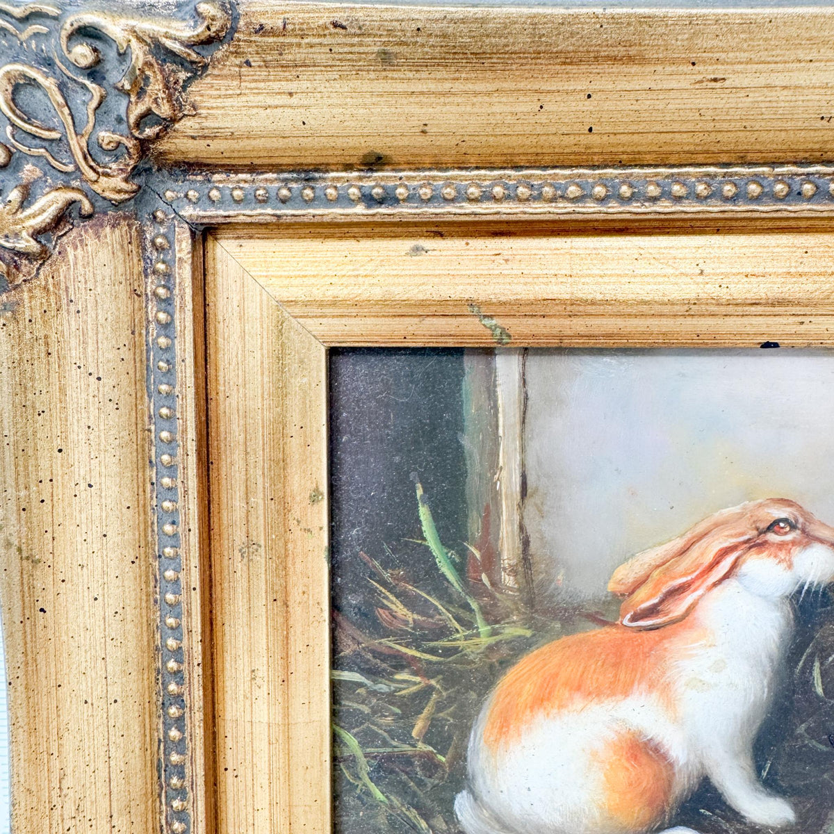Vintage Framed Rabbit Oil Painting by Robert Grace