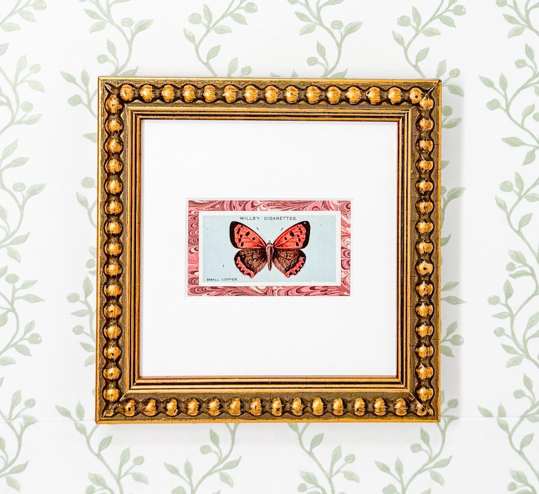 Framed Antique Flower Cigarette Card c. 1927, Small Copper