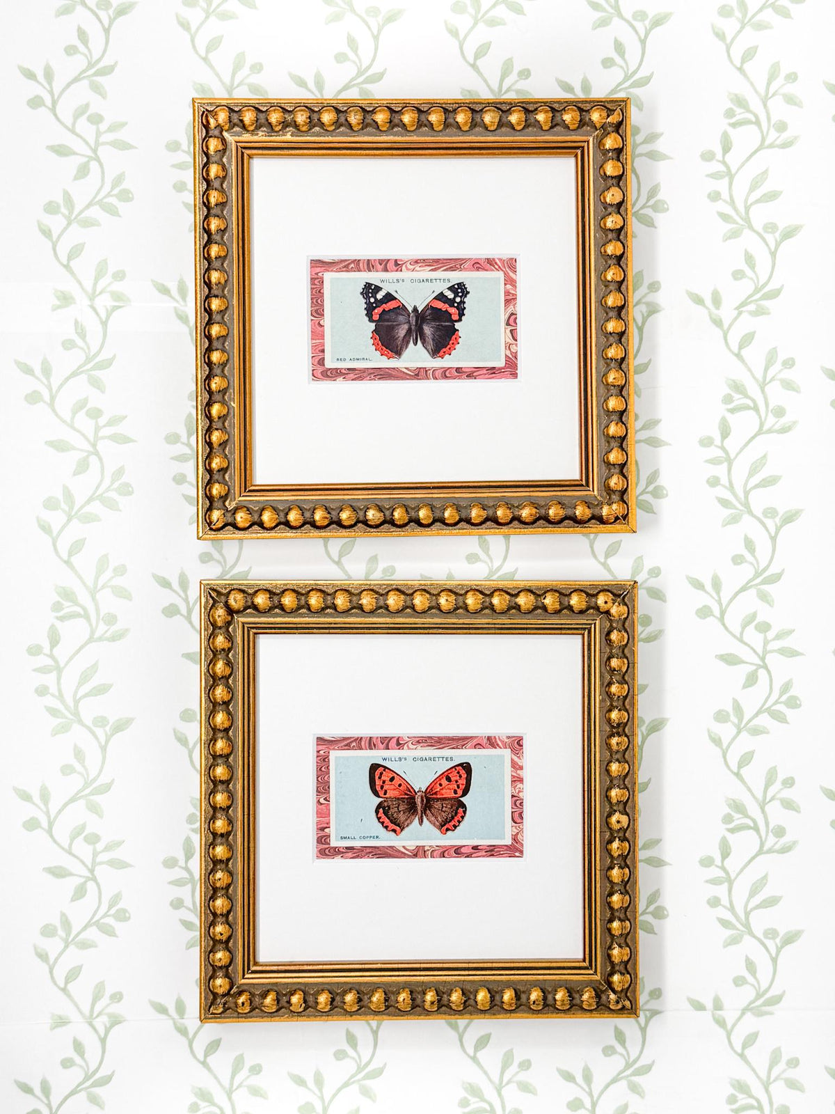 Framed Antique Flower Cigarette Card c. 1927, Small Copper