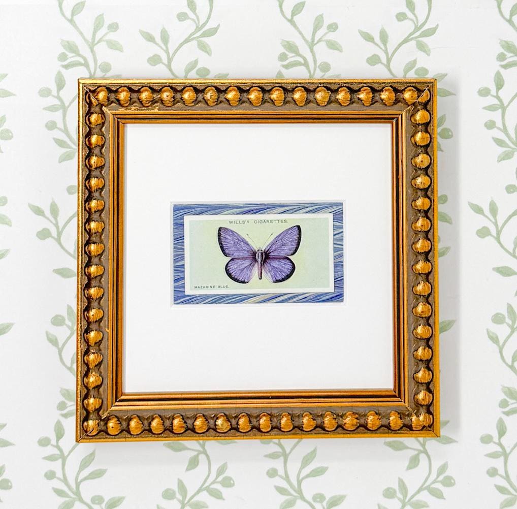 Framed Antique Flower Cigarette Card c. 1927, Mazarine Blue