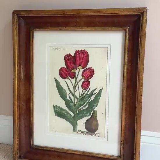 Framed Antique Floral Lithograph, c. 1800's, Red Tulips