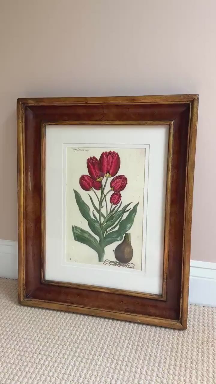 Framed Antique Floral Lithograph, c. 1800's, Red Tulips