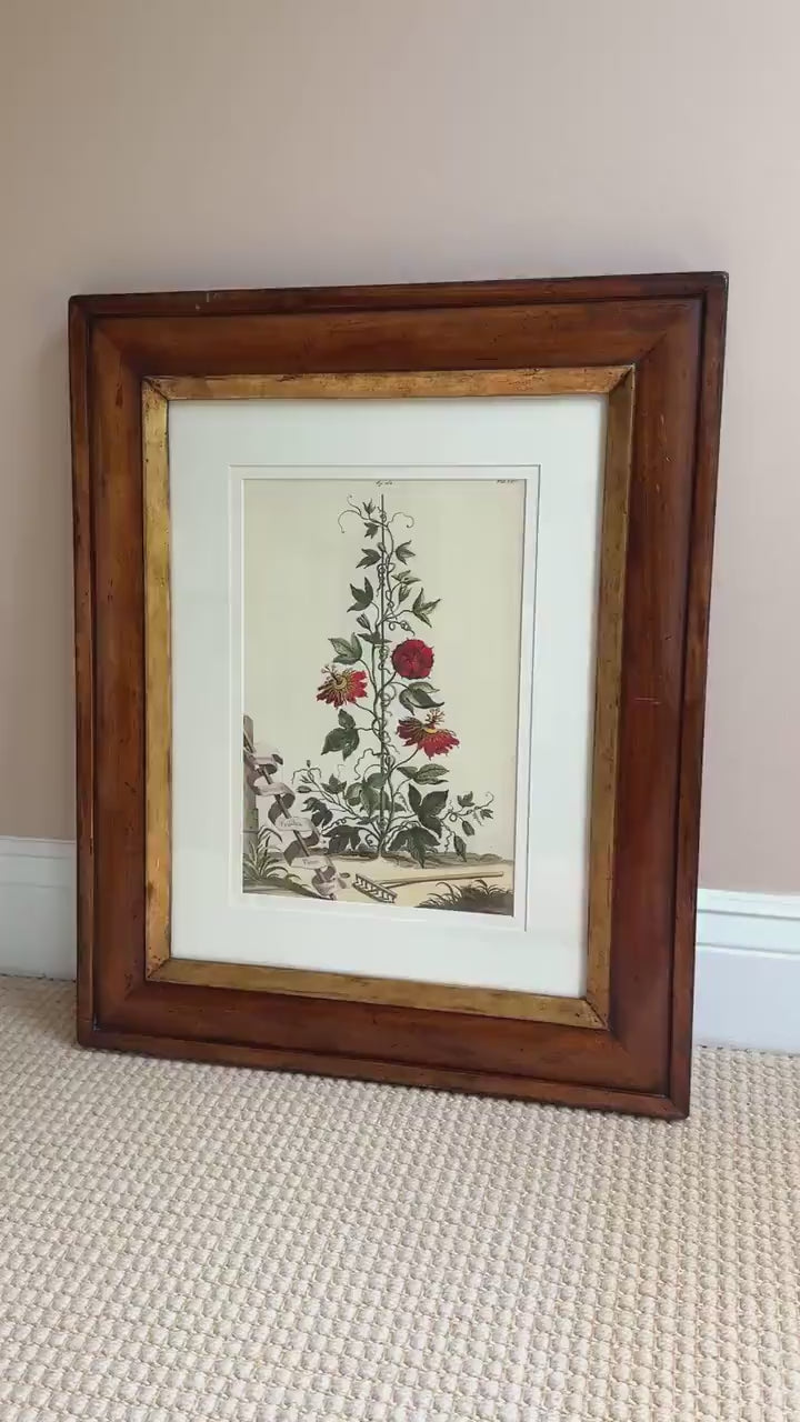Framed Antique Floral Lithograph, c. 1700's, Red Passion Flower