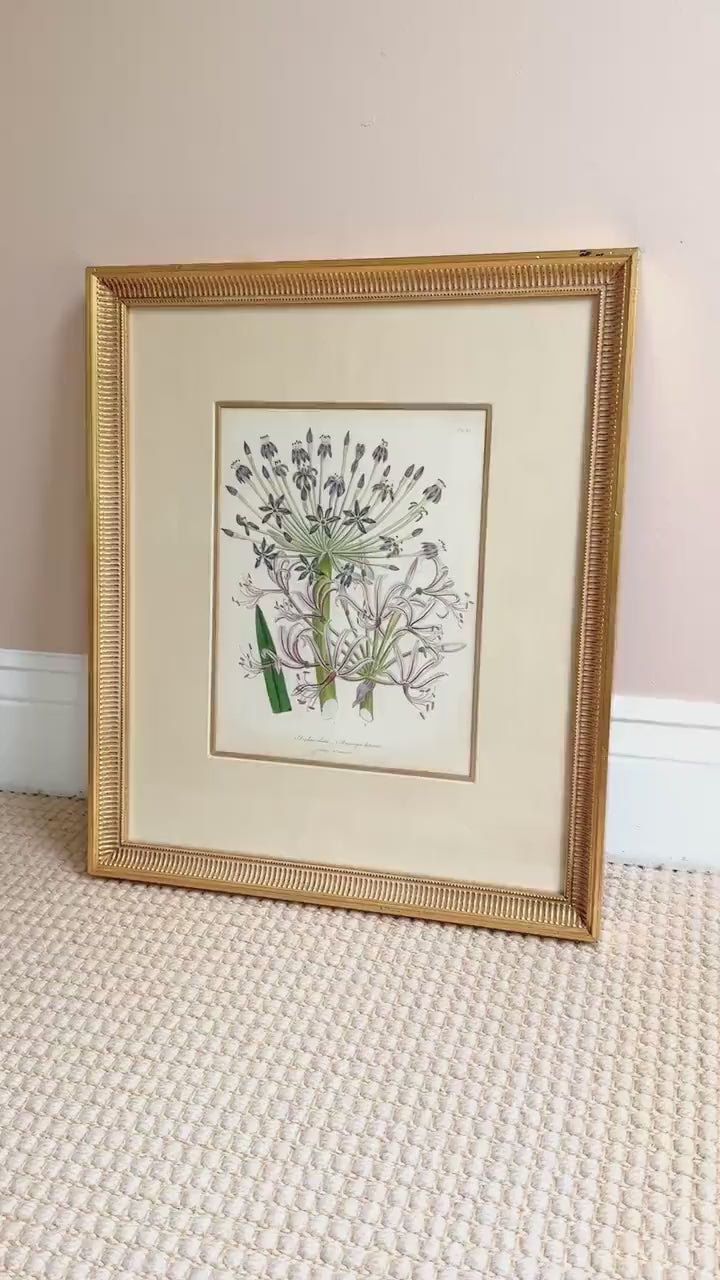 Framed Antique Floral Lithograph, c. 1840, Lady Loudon Flowers